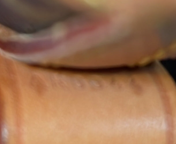 Noe Handbag Canvas Mini