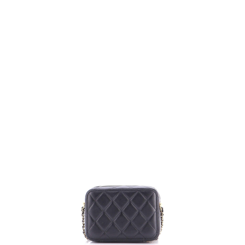 Cc Zip Around Clutch With Chain Quilted
