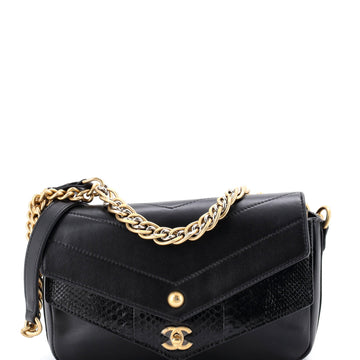Elaphe Chain Double Flap Bag Chevron