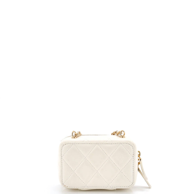 Golden Plate Zip Around Vanity Case With