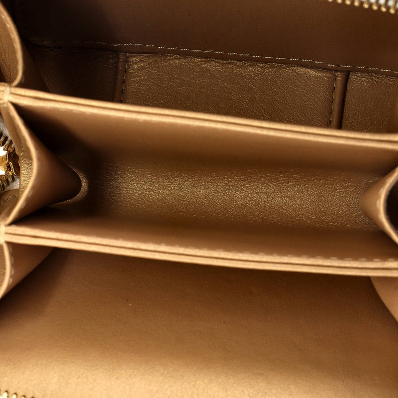 Golden Plate Zip Around Vanity Case With