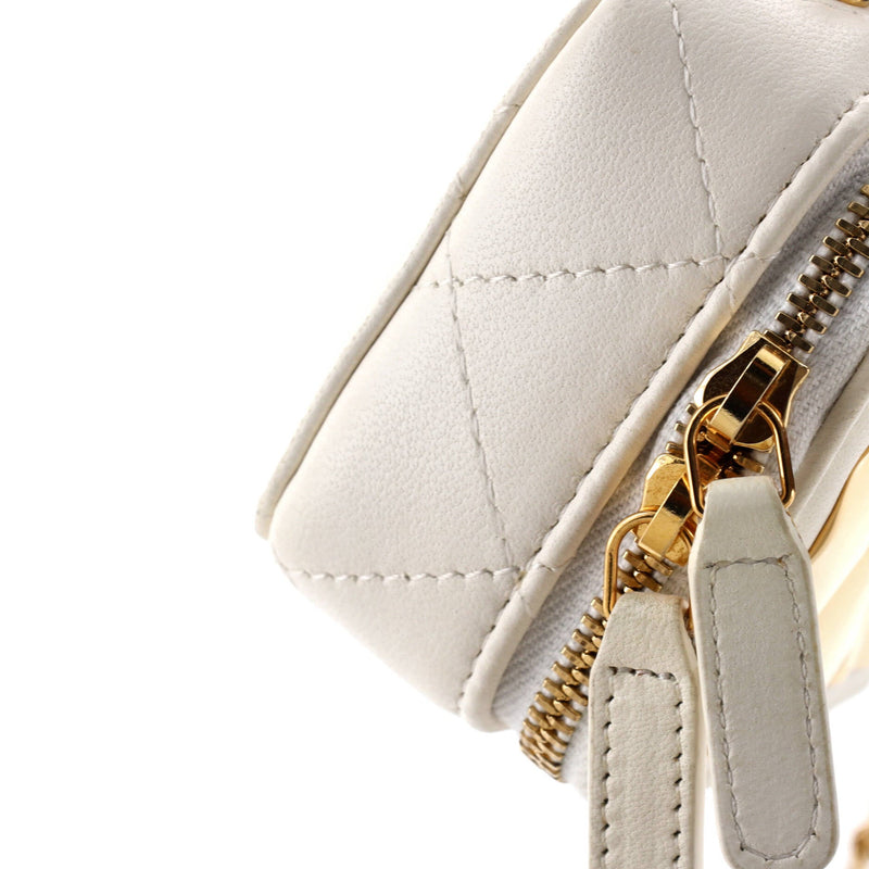 Golden Plate Zip Around Vanity Case With