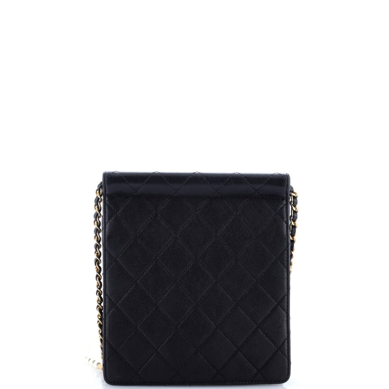 Pearl Chain Flap Bag Quilted Lambskin