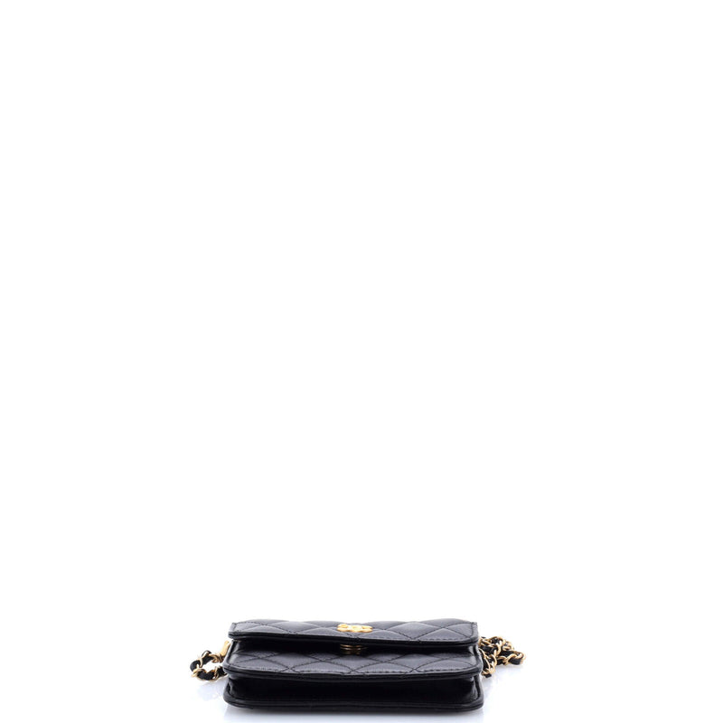Pearl Crush Flap Clutch With Chain