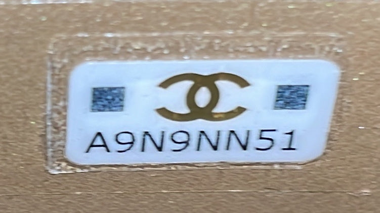 Pearl Crush Vanity Case With Chain