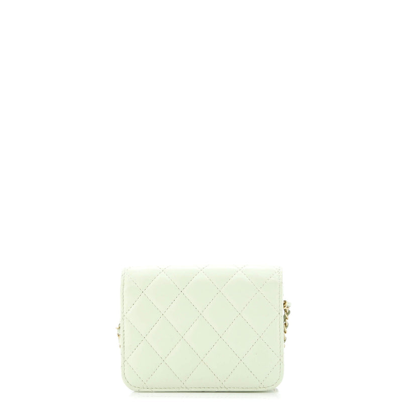 Pearl Crush Flap Clutch With Chain