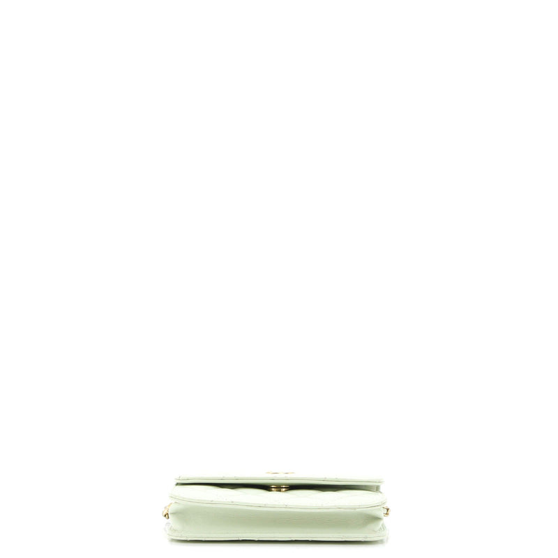Pearl Crush Flap Clutch With Chain