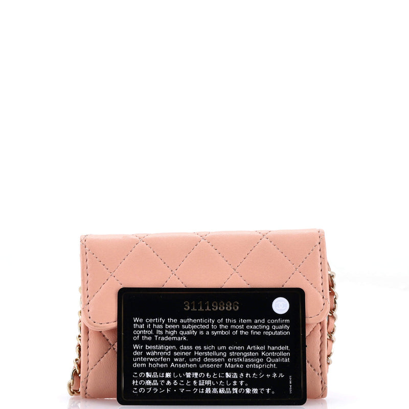 Classic Flap Chain Belt Bag Quilted