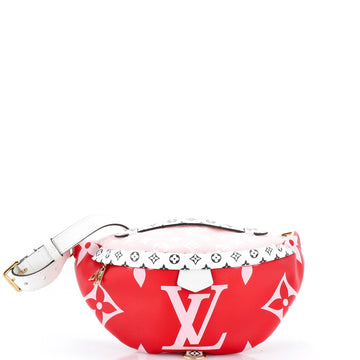 Louis Vuitton Bum Bag Limited Edition