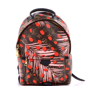Louis Vuitton Palm Springs Backpack