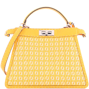 Selleria Peekaboo Iseeu Bag Zucca Woven