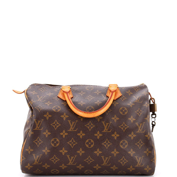 Speedy Handbag Canvas 30