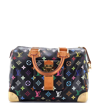 Speedy Handbag Multicolor 30