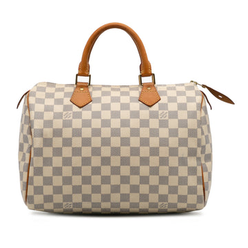 Speedy Handbag Damier 30