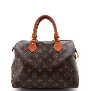 Louis Vuitton Speedy Handbag Canvas 25