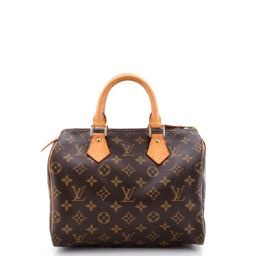 Louis Vuitton Speedy Handbag Canvas 25