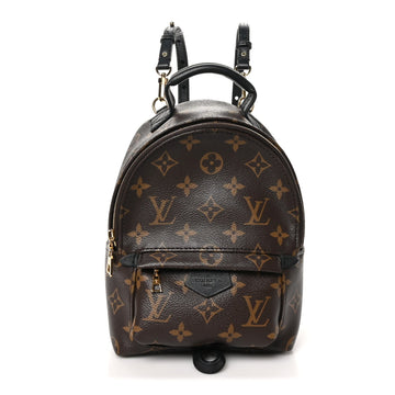 Louis Vuitton Palm Springs Backpack Mini