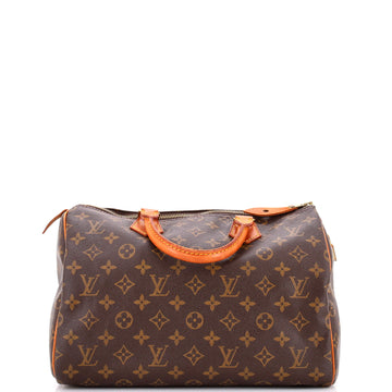 Louis Vuitton Speedy Handbag Canvas 30