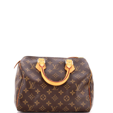 Louis Vuitton Speedy Handbag Canvas 25