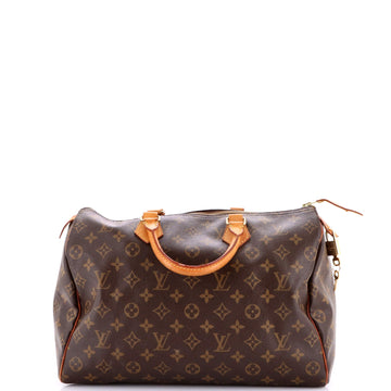 Louis Vuitton Speedy Handbag Canvas 30