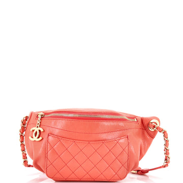 Chanel Bi Classic Waist Bag Quilted