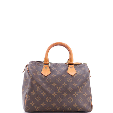 Louis Vuitton Speedy Handbag Canvas 25
