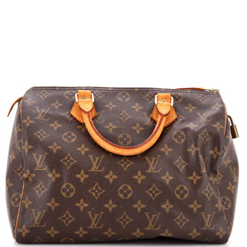 Louis Vuitton Speedy Handbag Canvas 30