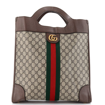 Gucci Ophidia Cut Out Handle Bag Gg