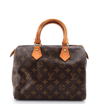 Louis Vuitton Speedy Handbag Canvas 25