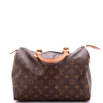 Louis Vuitton Speedy Handbag Canvas 30
