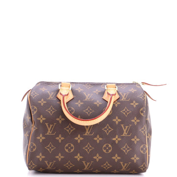 Louis Vuitton Speedy Handbag Canvas 25