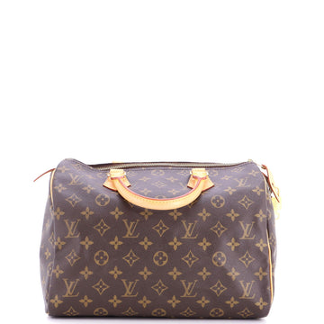 Louis Vuitton Speedy Handbag Canvas 30