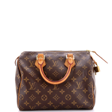 Louis Vuitton Speedy Handbag Canvas 25