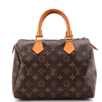 Louis Vuitton Speedy Handbag Canvas 25