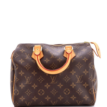 Louis Vuitton Speedy Handbag Canvas 25