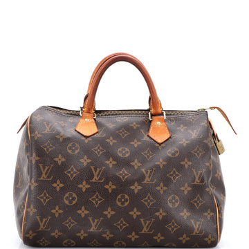 Louis Vuitton Speedy Handbag Canvas 30