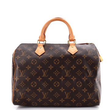 Louis Vuitton Speedy Handbag Canvas 30
