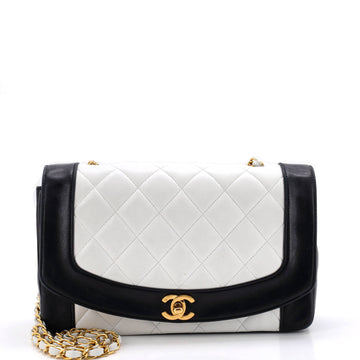 Chanel Vintage Diana Flap Bag Quilted