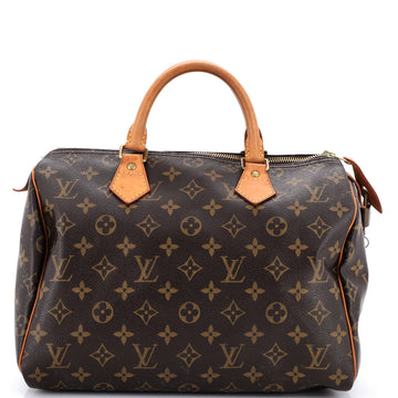 Louis Vuitton Speedy Handbag Canvas 30