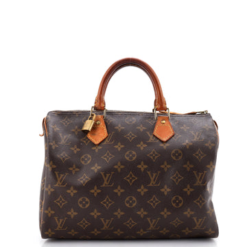 Louis Vuitton Speedy Handbag Canvas 30