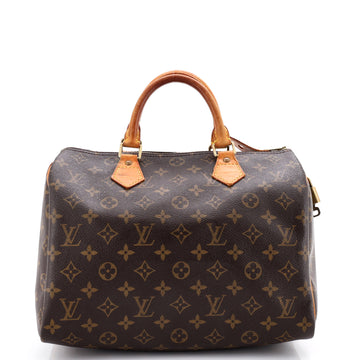Louis Vuitton Speedy Handbag Canvas 30