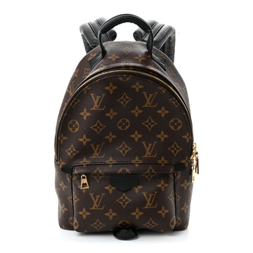 Louis Vuitton Palm Springs Backpack Pm