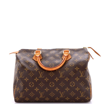 Louis Vuitton Speedy Handbag Canvas 30