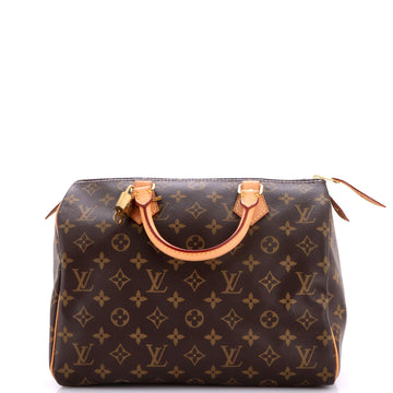 Louis Vuitton Speedy Handbag Canvas 30