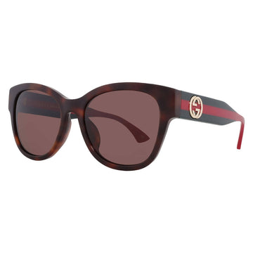 Gucci Brown Oval Ladies Sunglasses 56