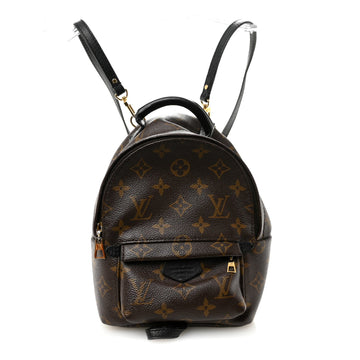 Louis Vuitton Palm Springs Backpack Mini