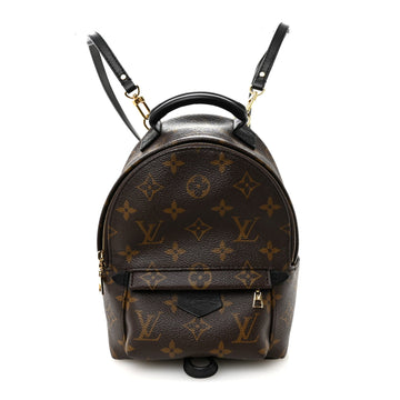 Louis Vuitton Palm Springs Backpack Mini