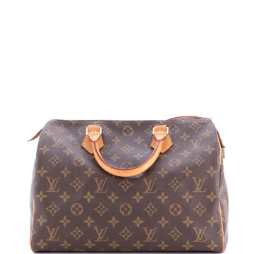 Louis Vuitton Speedy Handbag Canvas 30