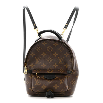 Louis Vuitton Palm Springs Backpack Mini