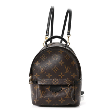 Louis Vuitton Palm Springs Backpack Mini